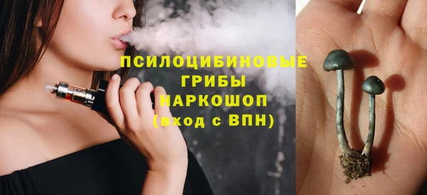 индика Балахна
