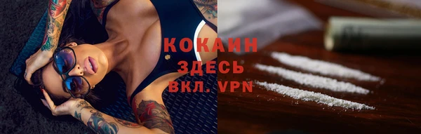 индика Балахна