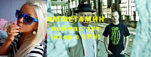 индика Балахна