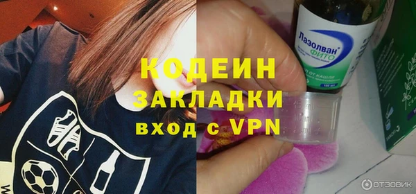 индика Балахна