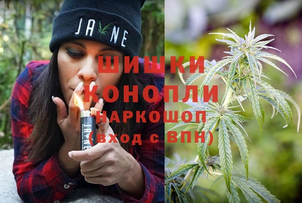 индика Балахна
